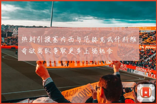 热刺引援塞内西与范赫克武什科维奇欲离队争取更多上场机会