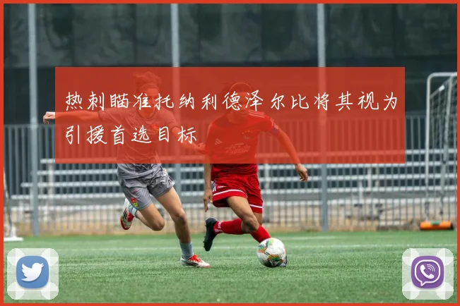 热刺瞄准托纳利德泽尔比将其视为引援首选目标